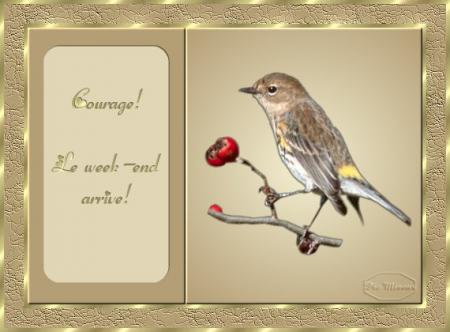 Bonjour tout le monde